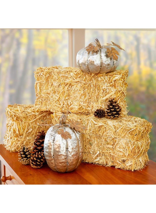 FloraCraft حزمة قش 13x5x6" - Image 5