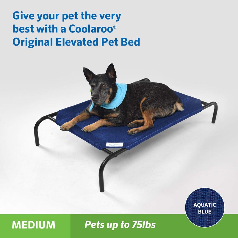 Coolaroo Original Elevated Dog Bed - Breathable Off-The-Ground Pet Bed with Cooling Fabric, Joint Relief & Moisture-Resistant Fabric, 100% Recyclable, Easy Clean, Aquatic Blue, Medium - Image 2