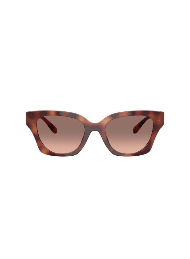 كوتش نظارات شمسية فراشة - Image 2