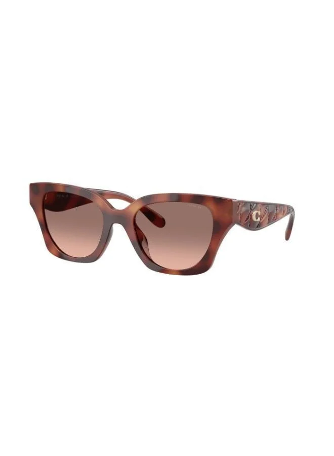 COACH 0Hc8418U Butterfly Sunglasses