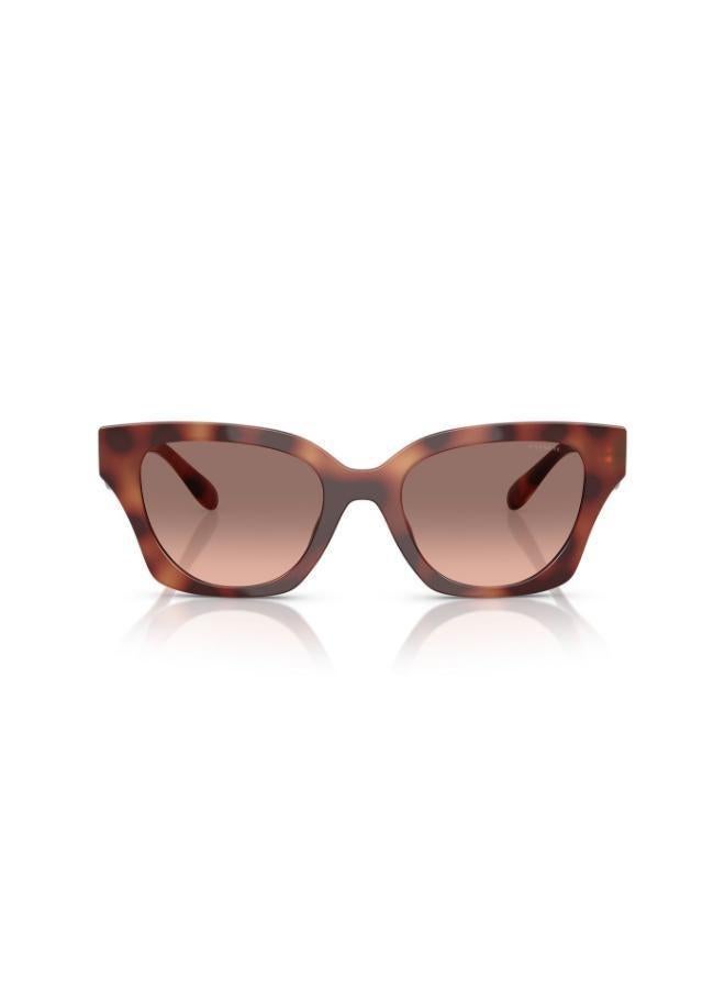 كوتش نظارات شمسية فراشة - Image 5