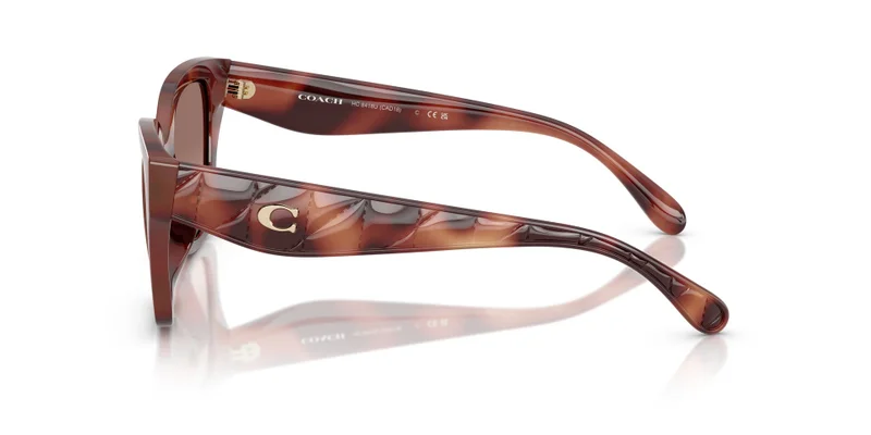COACH 0Hc8418U Butterfly Sunglasses