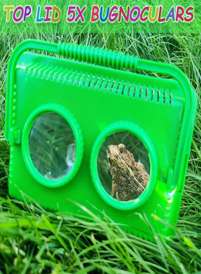 RORANIC Bug Catcher Kit for Kids,Educational Bugnoculars Bug Viewer Container with Tweezers Built in Double 5X Magnifier and Ruler to Catch & Observe Spider Frog Butterfly Fish Silkworm and Reptile (Green) - Image 3