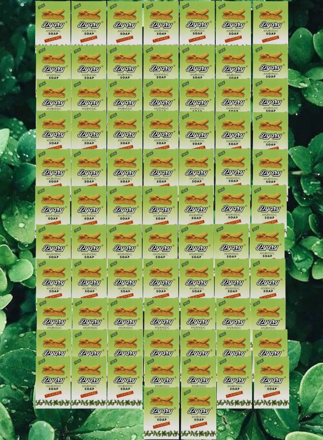 بياري 79 قطع صابون آيورفيدي كركم