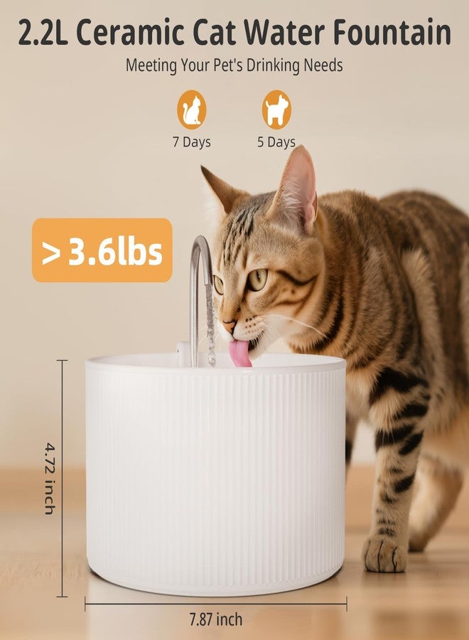 Waatoos Ceramic Cat Water Fountain, 2.2L/74oz Cupcake Pet Water Fountain for Cats and Dogs, Automatic Pet Drinking Fountain,Double Filtration System, Easy to Clean (White) - Image 2
