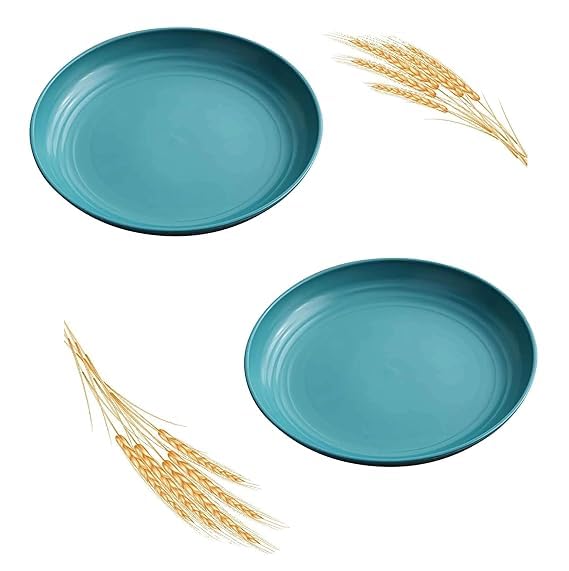 Takositio Food Serving Dishes for Party | Wheat Straw Round Dinner Plate | Steak Plate | Snacks Dish | Perfect for Home, Parties, Restaurants & Gifting | Microwave & Dishwasher Safe (2, Green) - Image 1