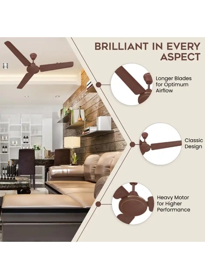Polycab Nippy Ceiling Fan,1200mm,100% Copper,Corrosion Resistant G-Tech Blades,Matt Brown - Image 1