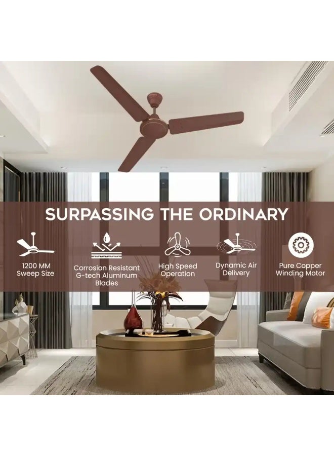 Polycab Nippy Ceiling Fan,1200mm,100% Copper,Corrosion Resistant G-Tech Blades,Matt Brown - Image 2