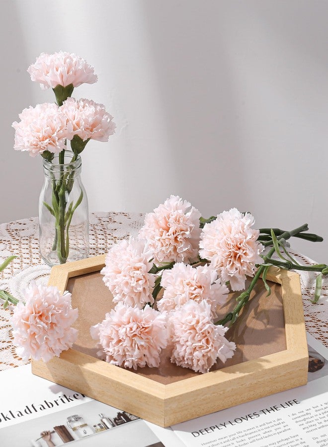 DuHouse 6pcs Carnations Artificial Flowers Latex Carnation Flowers,Real Touch Carnations with Stems for Wedding Party Office Home Decor(Blush) - Image 2