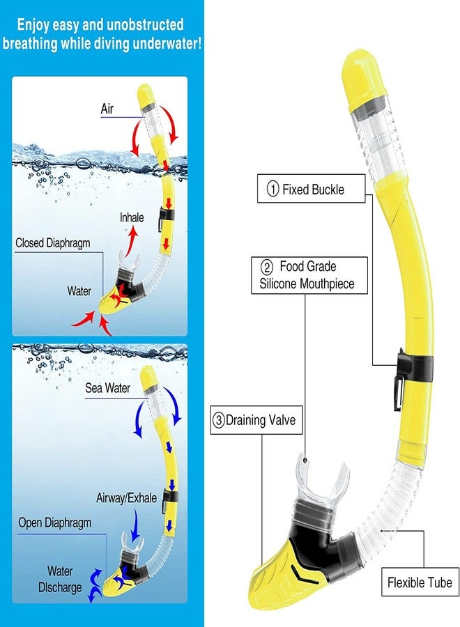 VBM طقم قناع وزعنفة وغطس VBM مع معدات غطس للكبار والصغار، قناع غطس بانورامي، زعنفة غطس، أنبوب تنفس جاف + حقائب سفر، أنبوب تنفس احترافي للسباحة - Image 5