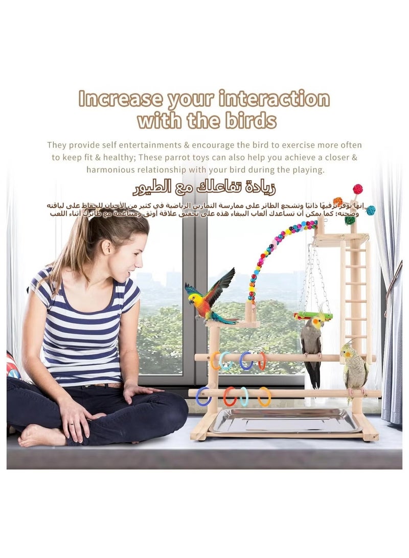 OMEVE Bird Playground, Bird play stand, Bird playground, Bird perches, Bird climbing frame, Wooden Parrot Stand for Parakeet Conure Cockatiel Lovebird Budgie Caique （46 * 31 * 70CM） - Image 3
