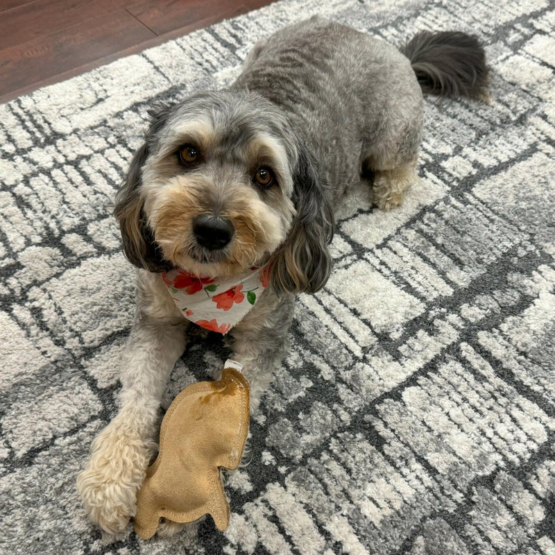 SPOT Dura-Fused Leather Rabbit Dog Toy â€“ Durable Real Leather & Jute Chew Toy with Squeaker, Double-Stitched for Moderate Chewers, Small & Medium Dogs, 7.5in - Image 5