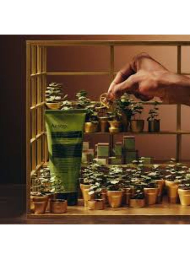 أيسوب حفلة إيسوب في الدفيئة - Image 4