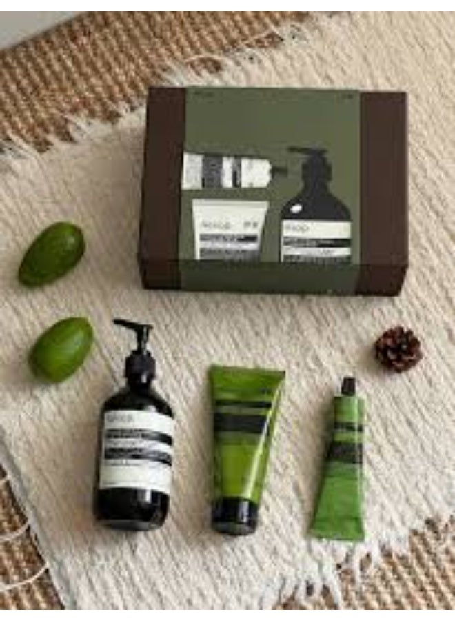 أيسوب حفلة إيسوب في الدفيئة - Image 3