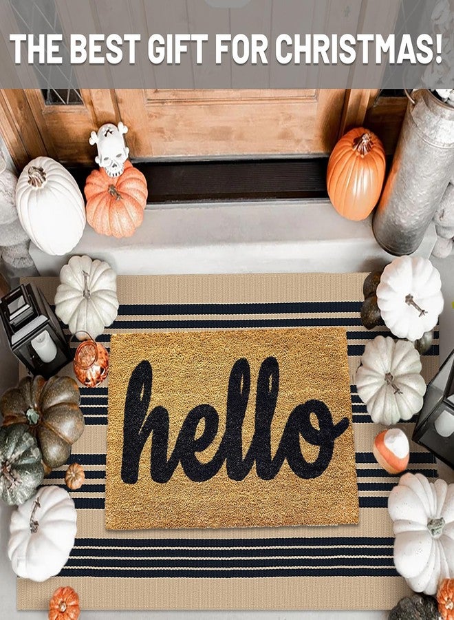 IOHOUZE Black and Tan Striped Rug 3'x5' Front Door Rugs Outdoor, Washable Area Rug for Front Porch, Spring Summer Welcome Mats Outdoor Indoor, Doormat for Entryway Porch Entrance - Image 2