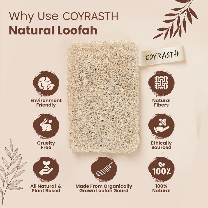 COYRASTH Natural Organic Bath Loofah Sponges, Large Exfoliating Shower Loofah Body Scrubbers Buff Away Dead Skin, Sun Dried Bath Loofah | Body Sponge & Scrubber for Men & Women (Pack of 2) - Image 3