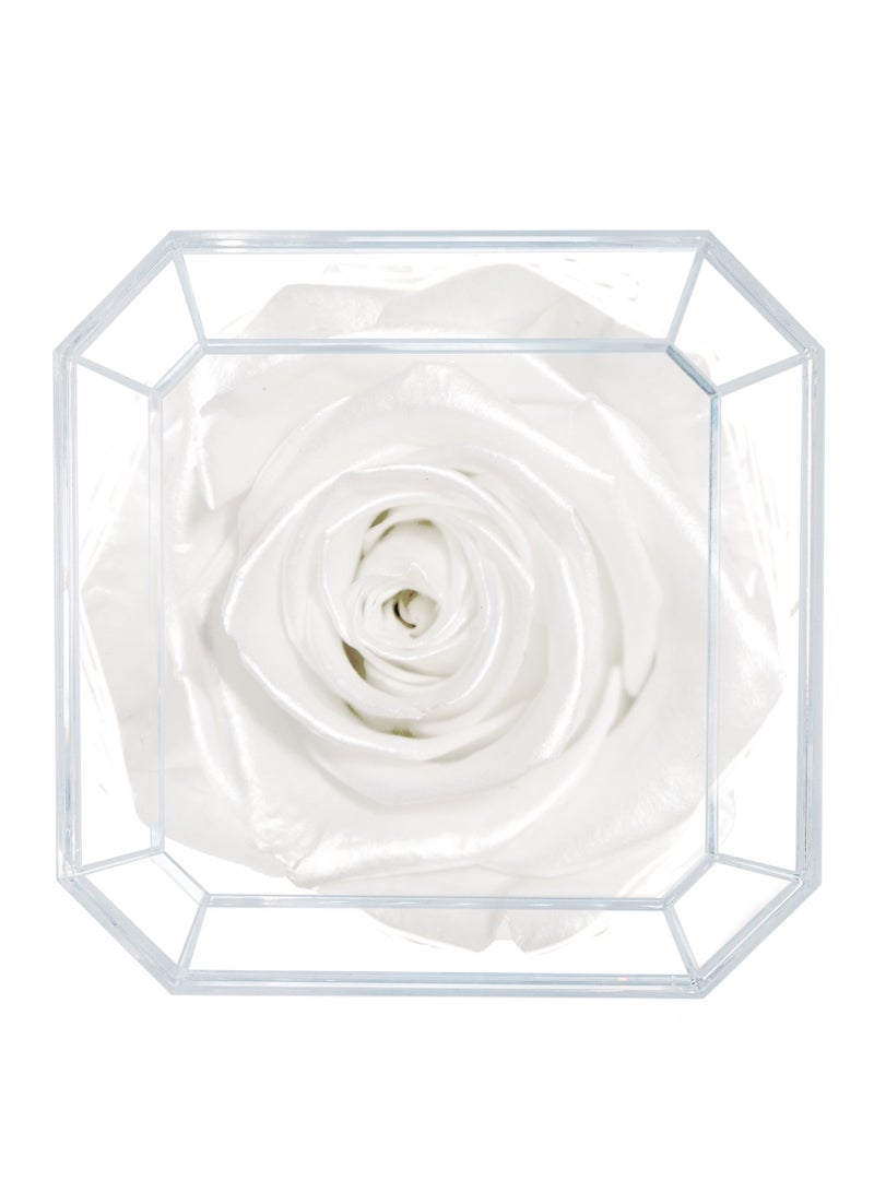 ETERNAL PETALS Eternal Petals, A 100% Real Rose That Lasts Years - Gold Solo (White Satin)  - Image 2