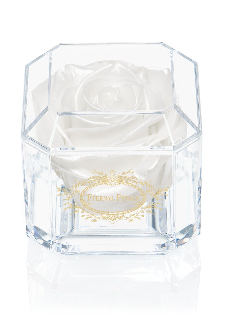 ETERNAL PETALS Eternal Petals, A 100% Real Rose That Lasts Years - Gold Solo (White Satin)  - Image 1