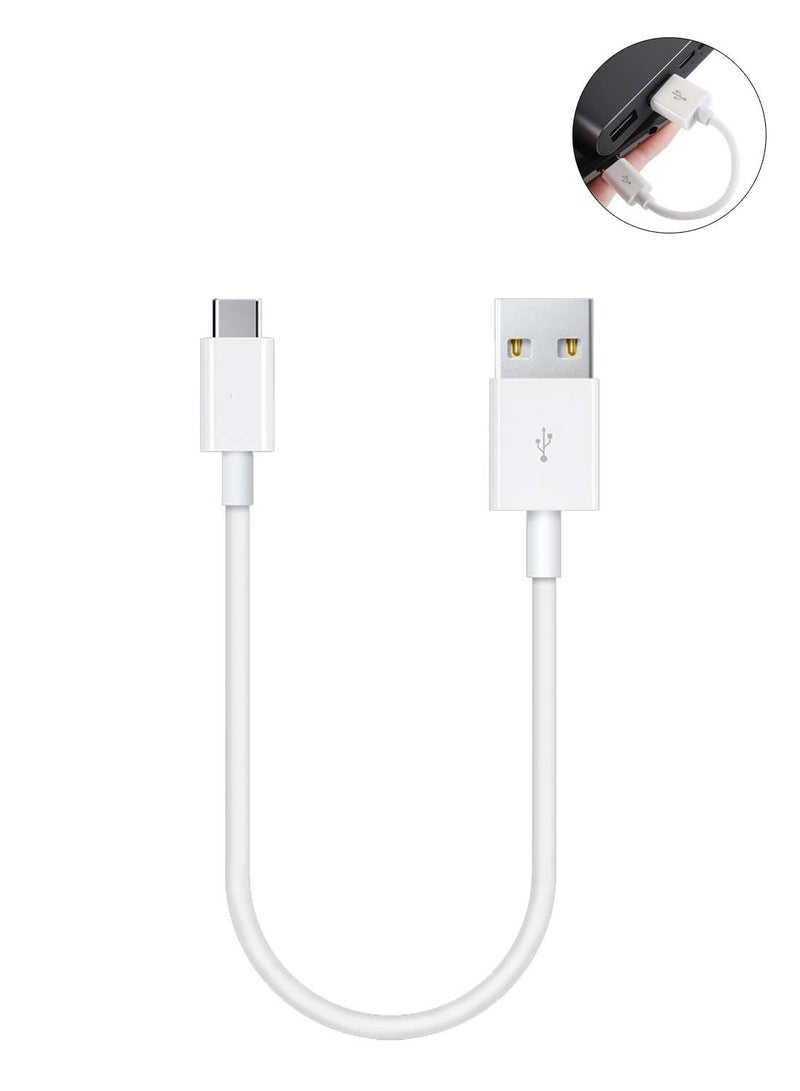 CHAPPELINE CHAPPELINE CA43 Data Cable USB to Type-C, 20CM MiniCable 65W Fast Charging Data Cable - White - Image 1