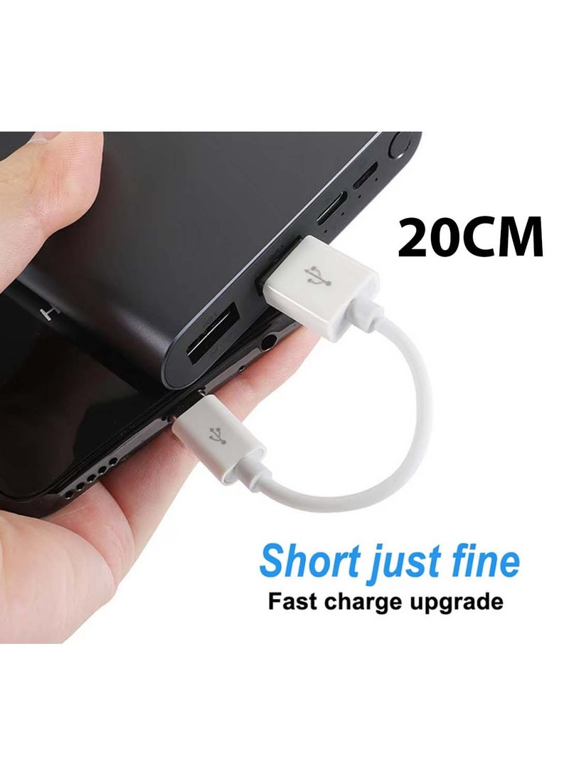 CHAPPELINE CHAPPELINE CA43 Data Cable USB to Type-C, 20CM MiniCable 65W Fast Charging Data Cable - White - Image 2