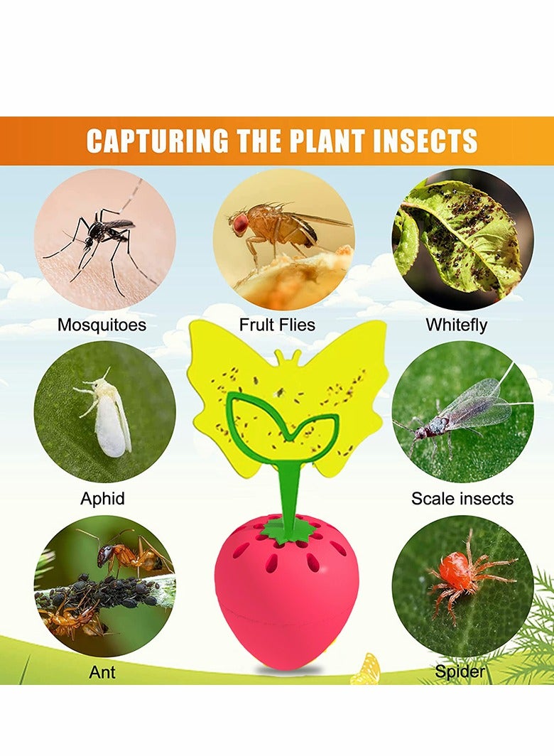 SYOSI Fruit Fly Trap, Fly Catcher Gnat Trap Fruit Fly Killer with 16 Yellow Sticky Traps 2 Trapping agent, Gnat Trap with Bait for Indoor Outdoor, Safe Non-Toxic Fly Trap for Home/Kitchen/Plant (2 Pack) - Image 4