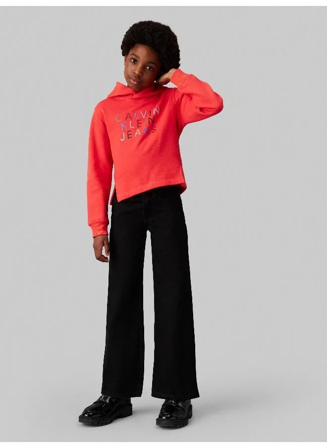 Calvin Klein Jeans Kids Color Logo Hoodie