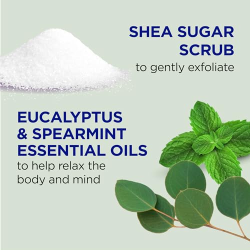 Dr Teal's Shea Sugar Scrub, Eucalyptus & Spearmint Essential Oils, 19 oz (Pack of 3) - Image 2