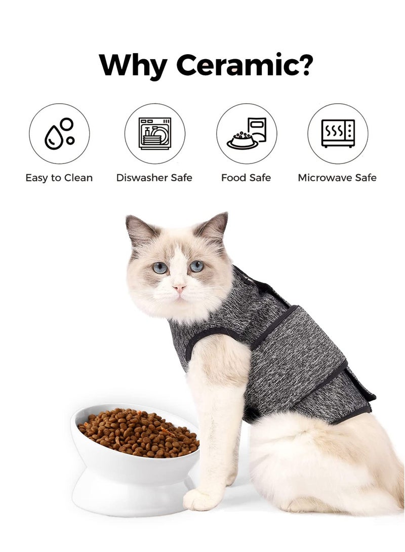 Elevated Ceramic Cat and Dog Bowl, 5 Oz Anti-Vomiting Design, Tilted for Comfort and Spine Protection, Perfect for Small Pets - Image 4