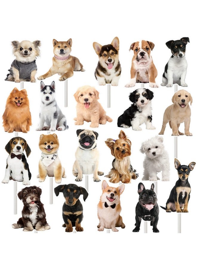 umoni 36 قطعة حفلة الكلب كب كيك القبعات العالية جرو الكلب زينة الحفلات ل لطيف كلب استحمام الطفل لوازم الاطفال حفلة عيد ميلاد الديكور - Image 2