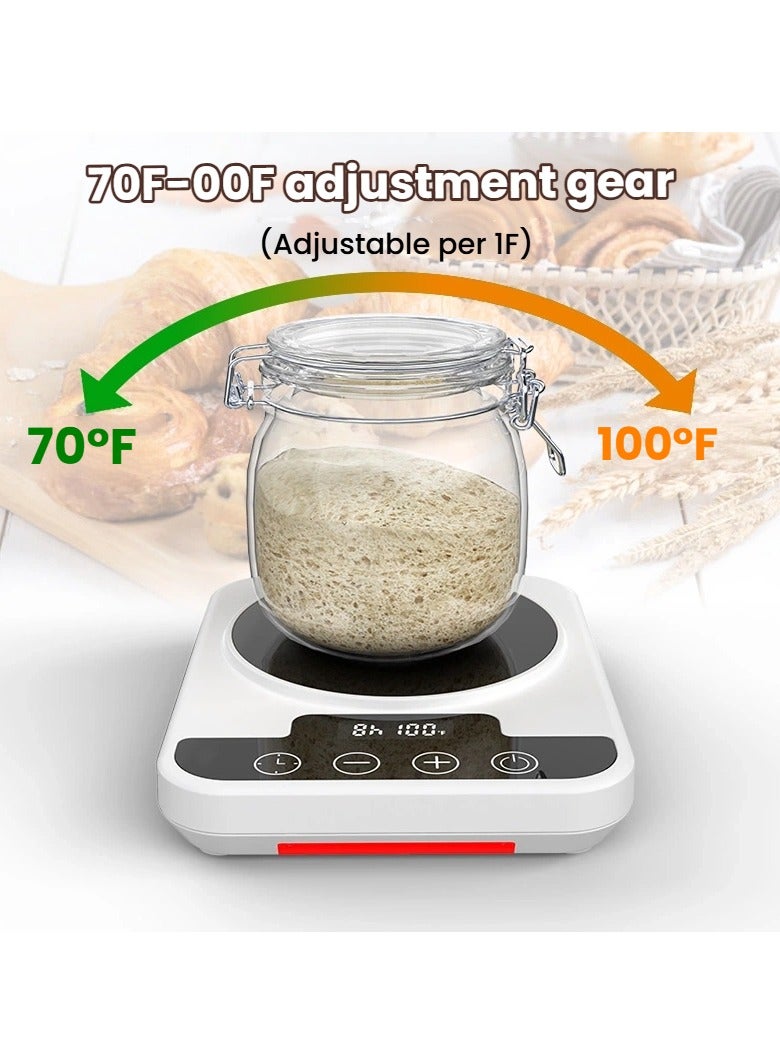general Yeast fermentation thermostat 12 hours timed multi-gear adjustment 70-100 degrees Fahrenheit constant temperature base British gauge - Image 2