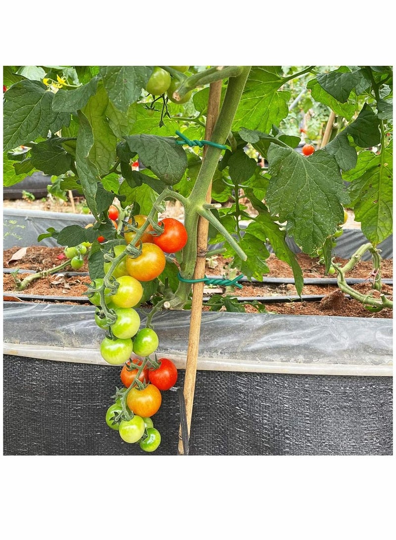 Loquat Garden Wire Ties Soft Iron Wire Fixed Wire Plant Soft Tie Bonsai Stereotypes Tie 3.5mm 52 Feet Soft Green Plant Training Wires for Tomato Plants, Climbing Roses, Vines, and Cucumbers (2PCS X 26 Feet) - Image 5