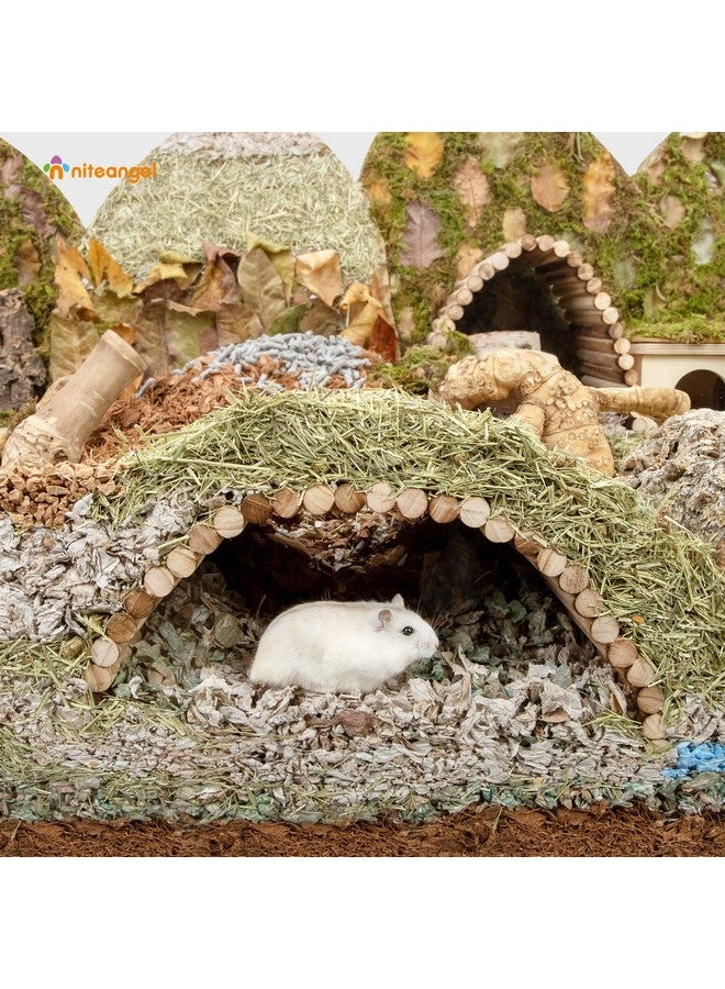 نيتينجيل ألعاب تسلق الحيوانات الصغيرة من نايت أنجل - سلم جسر معلق للهامستر والجربوع والفئران وخنازير غينيا أو الحيوانات الأليفة الصغيرة الأخرى (15.7 بوصة × 7.8 بوصة) - Image 3