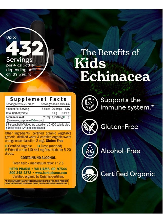 هيرب فارم مستخلص سائل من نبات إكناسيا جلسريت عضوي معتمد للأطفال، خالٍ من الكحول، من هيرب فارم، 4 أونصة - Image 2