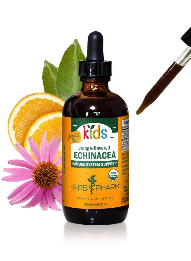هيرب فارم مستخلص سائل من نبات إكناسيا جلسريت عضوي معتمد للأطفال، خالٍ من الكحول، من هيرب فارم، 4 أونصة - Image 1