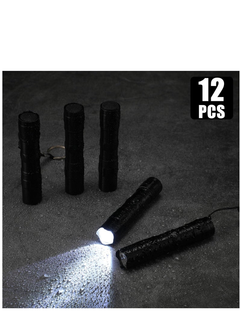 12 Pcs Mini Flashlights Bulk LED Handheld Torches with Lanyard Bright Battery Operated Aluminum Flash Lights for Camping Night Reading Party Favor Keychain Gift Black - Image 4