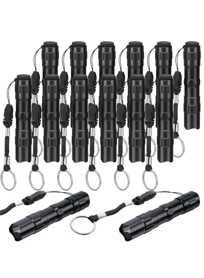 12 Pcs Mini Flashlights Bulk LED Handheld Torches with Lanyard Bright Battery Operated Aluminum Flash Lights for Camping Night Reading Party Favor Keychain Gift Black - Image 1