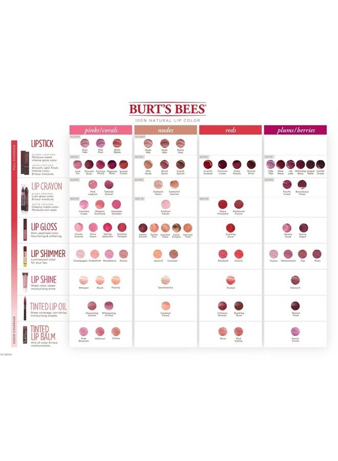 Burt's Bees Lip Care Easter Basket Stuffers, Moisturizing Lip Shine for Women, 100% Natural, Blush, 0.5 Oz - Image 3