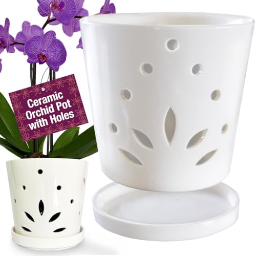 Atri Orchid Pot with Holes65in Modern Porcelain Indoor Orchid PlanterLarge Orchid Pots for RepottingCeramic Orchid PlanterDrainage Holes
