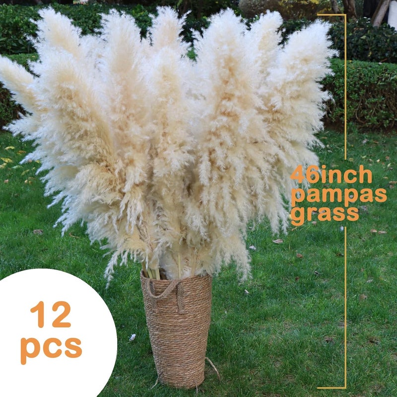 Pasuvsigt 46inch 12pcs Dried Pampas Grass Decor Tall-Large Beige Pompas Grass Floral-Natural Tall Fluffy Pampas Grass Flower for FloorVase,Wedding,Party,Living Room Floor,BohoHome Decor - Image 2