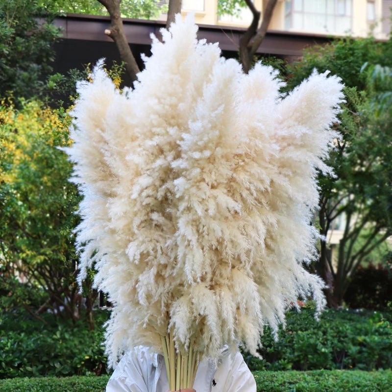 Pasuvsigt 46inch 12pcs Dried Pampas Grass Decor Tall-Large Beige Pompas Grass Floral-Natural Tall Fluffy Pampas Grass Flower for FloorVase,Wedding,Party,Living Room Floor,BohoHome Decor - Image 1