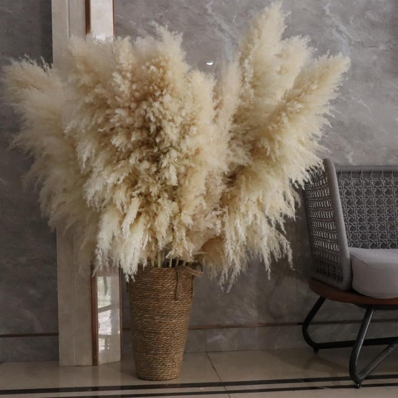 Pasuvsigt 46inch 12pcs Dried Pampas Grass Decor Tall-Large Beige Pompas Grass Floral-Natural Tall Fluffy Pampas Grass Flower for FloorVase,Wedding,Party,Living Room Floor,BohoHome Decor - Image 3