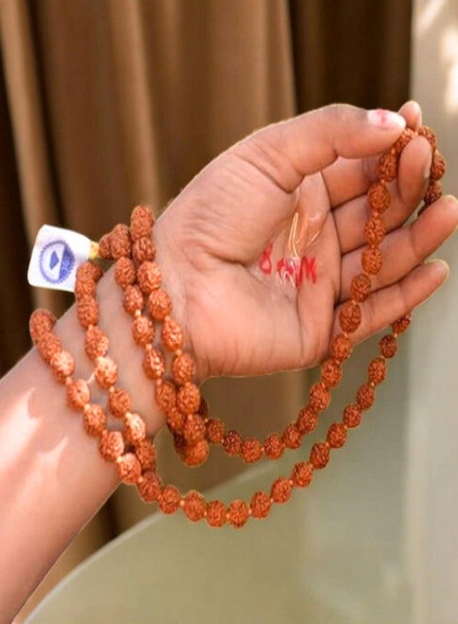craftslook مسبحة رودراكشا معتمدة مخبرياً 8 مم مع حقيبة غوموخي - 108 حبة + حبة إضافية، خرزة صلاة طبيعية من بذور رودراكشا الهيمالايا، خرزة للمعصم، مناسبة للعبادة واليوغا والتأمل - Image 4