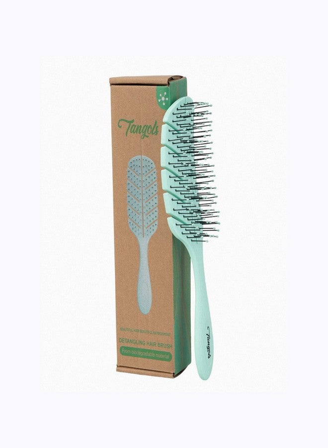 Farenheit Tangols Soft Detangling Hair Brush - Soft Hair Brush for Kids & Adults with Ultra-Soft Anti Knot Nylon Bristle, Eco-Friendly Tangle-Free Styling for Dry, Wet, Curly & for All Hair Types(Green) - Image 1