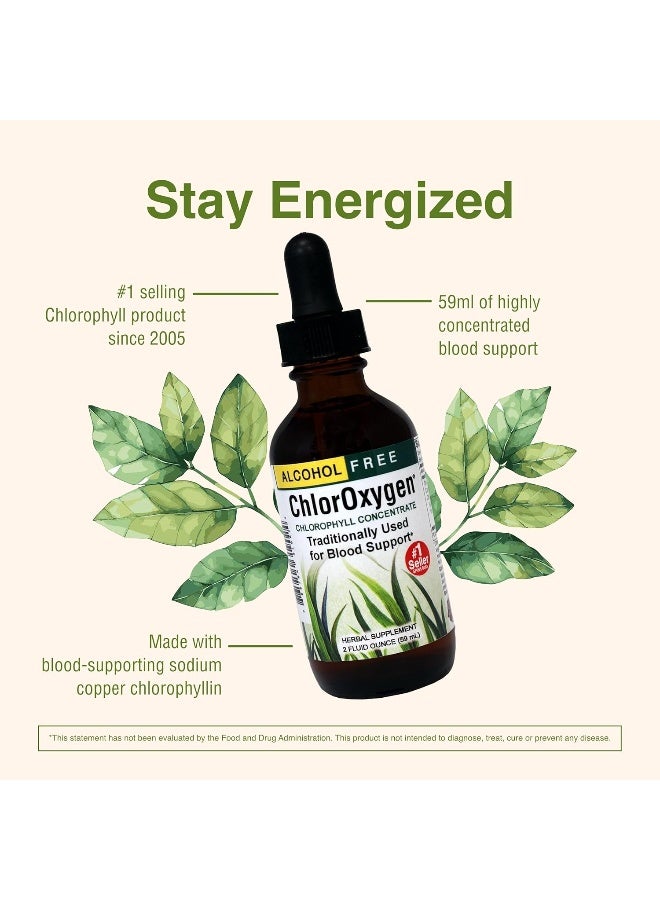 هيربز إي تي سي. مكمل غذائي مركز الكلوروكسجين الكلوروفيل - يبني دمًا أفضل - يعزز مستويات الطاقة - طعام طبيعي للتخلص من السموم - مستخلص سائل أصلي 2 أونصة - أعشاب إلخ - Image 4