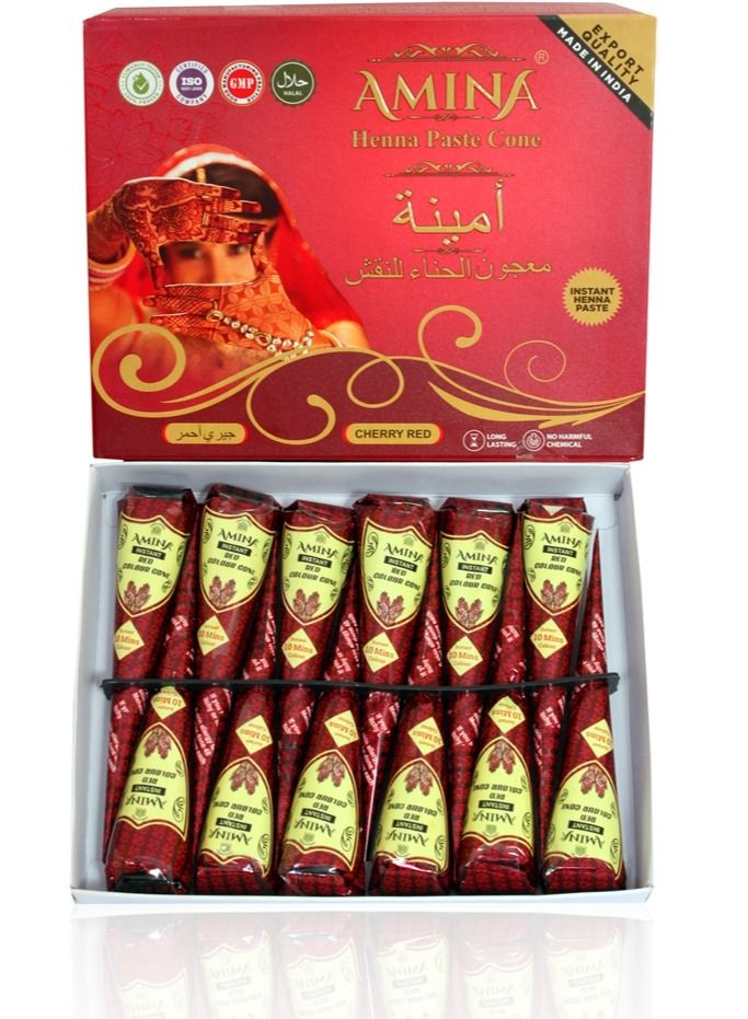 Amina Organic Henna Instant Tattoo Amina  Henna Mehendi Cone Cherry Red 12 Cones * 25 gm Each - Image 3