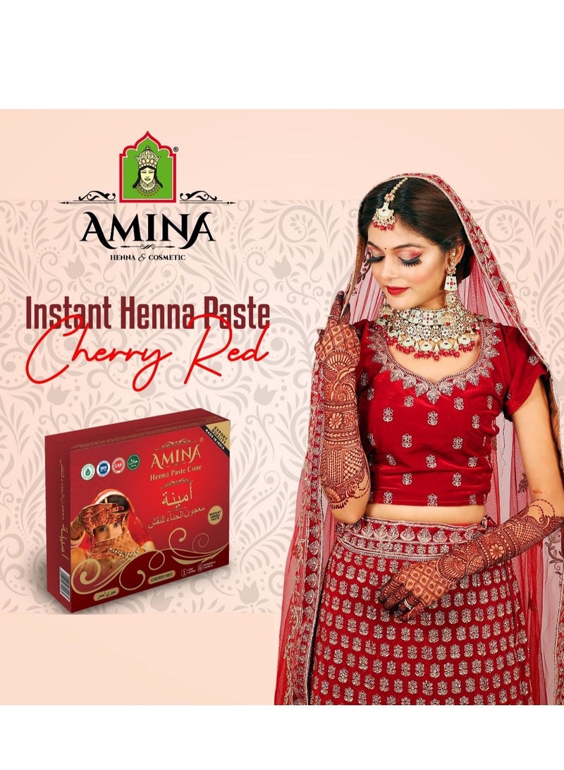 Amina Organic Henna Instant Tattoo Amina  Henna Mehendi Cone Cherry Red 12 Cones * 25 gm Each - Image 2