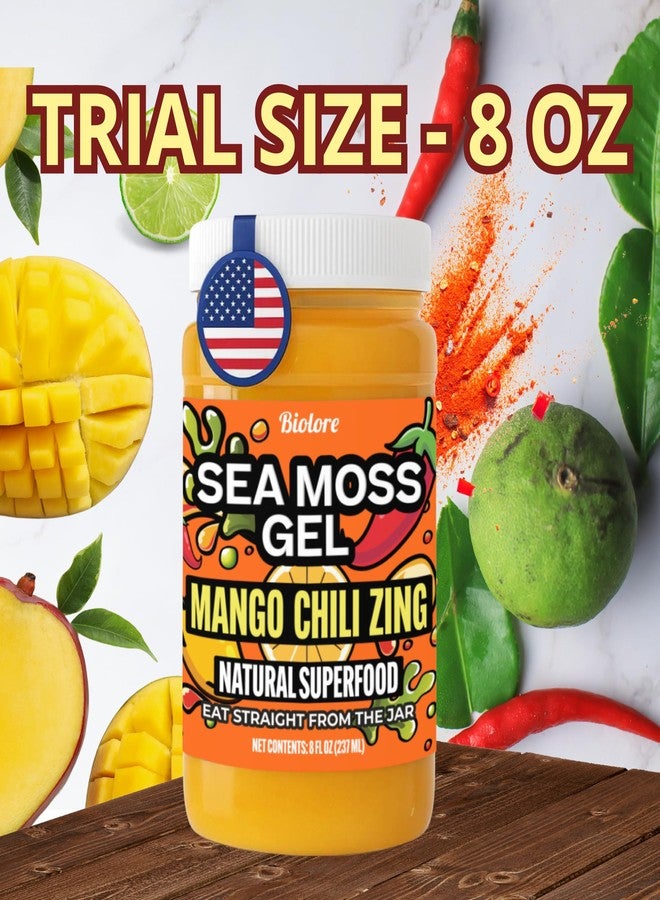 Biolore Sea Moss Gel Mango Chili Zing - Flavored Superfood with Natural Electrolytes - Wildcrafted Mango Jam Sea Moss, with Minerals, Vegan, Made in USA - 8oz Trial Size - Image 3