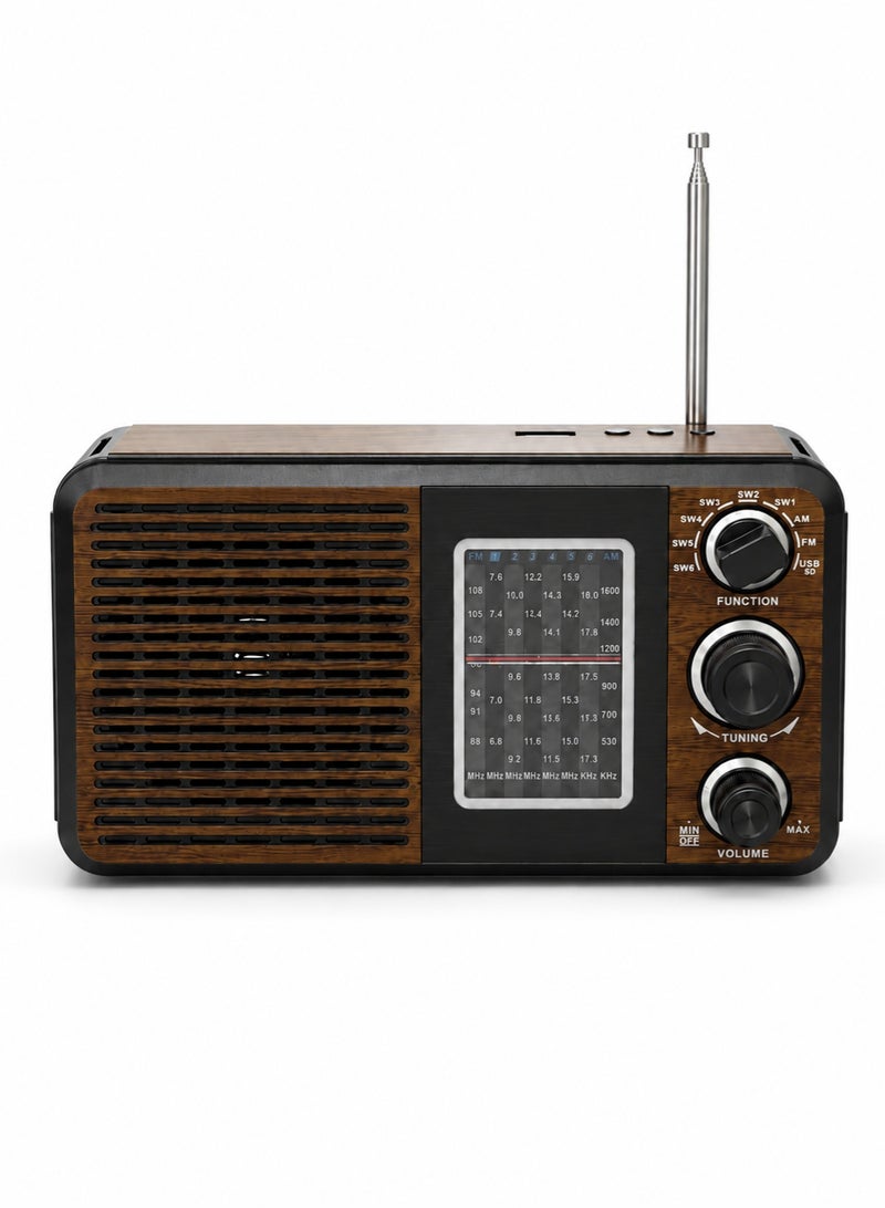 Portable Rechargeable FM AM SW Radio with Bluetooth USB SD Card Playback and Hi Fi Speaker for Home Travel Camping and Emergency Use