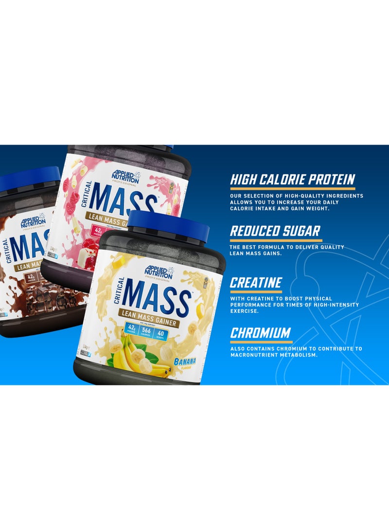 Critical Mass Chocolate Flavor 40 Scoops 2.4Kg