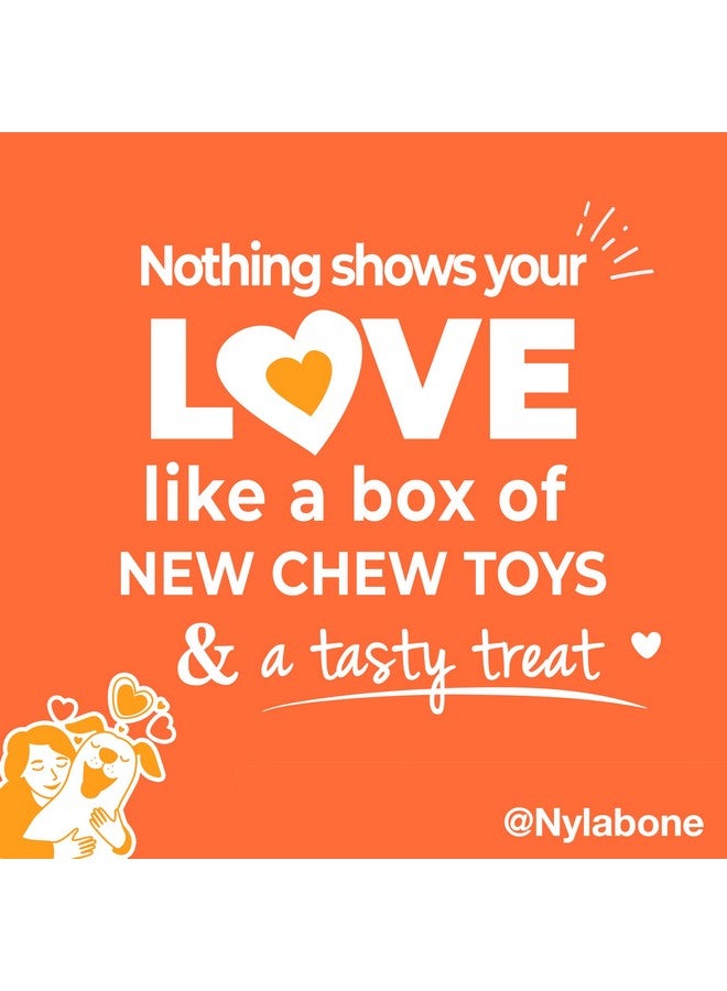 Nylabone Dog Gift Box, Includes 3 Strong Chew Toys and 1 Natural Treat, Gifts for Dogs, Large - Up to 50 lbs, 4 Pack - Image 4